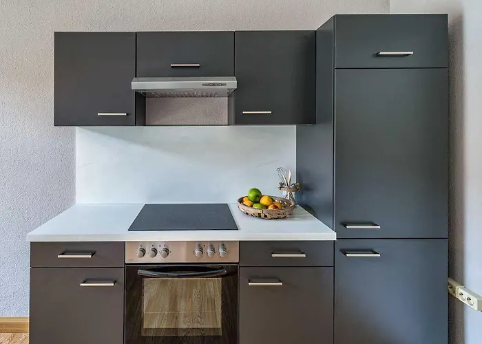 Cozy Solaris In Altstadt Netflix Мейсен